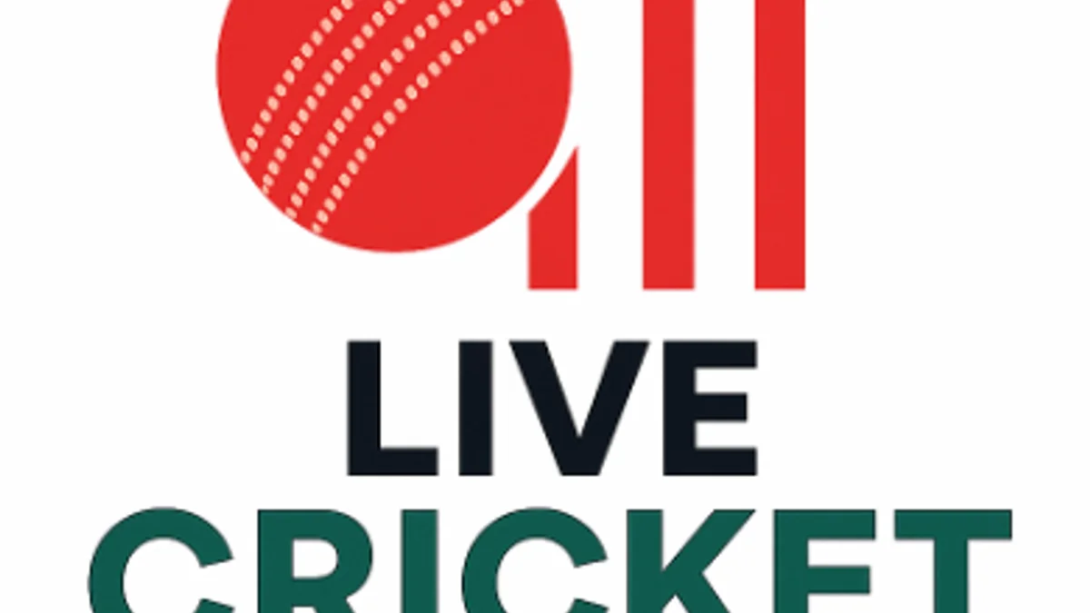 In-Play Ball-by-Ball Cricket Odds and Momentum Shifts in Bangladesh